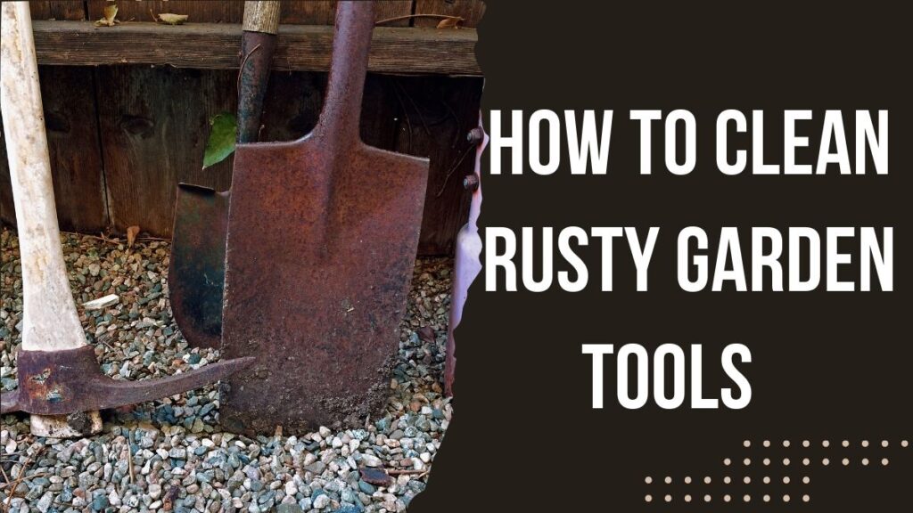 How To Clean Rusty Garden Tools