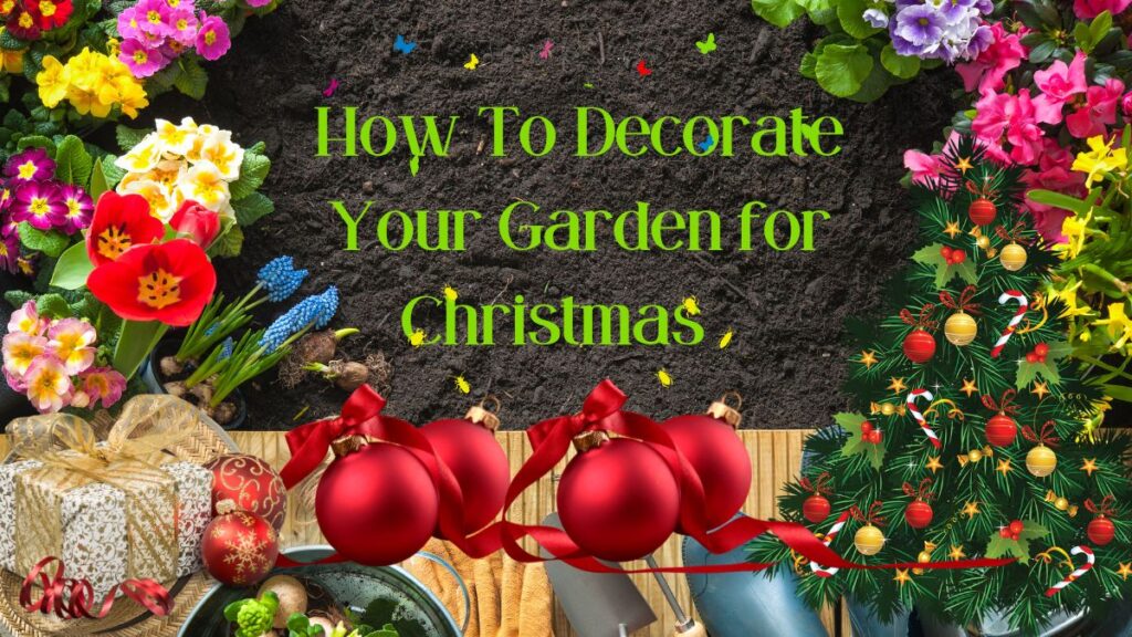 How To Decorate Your Garden for Christmas