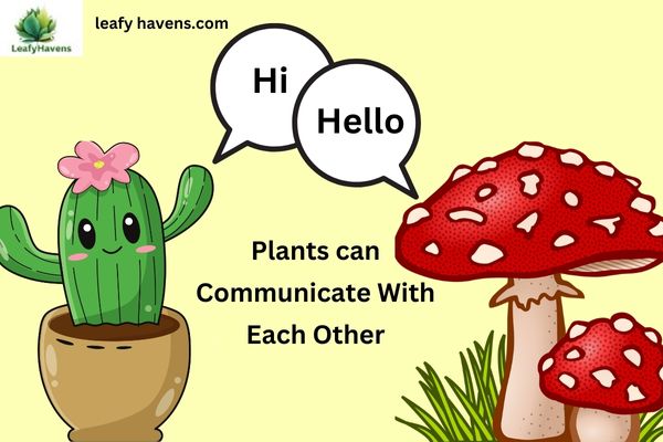 how do plant cells communicate with each other    