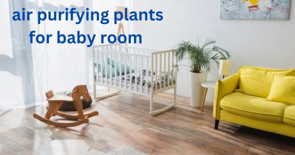 air purifying plants for baby room