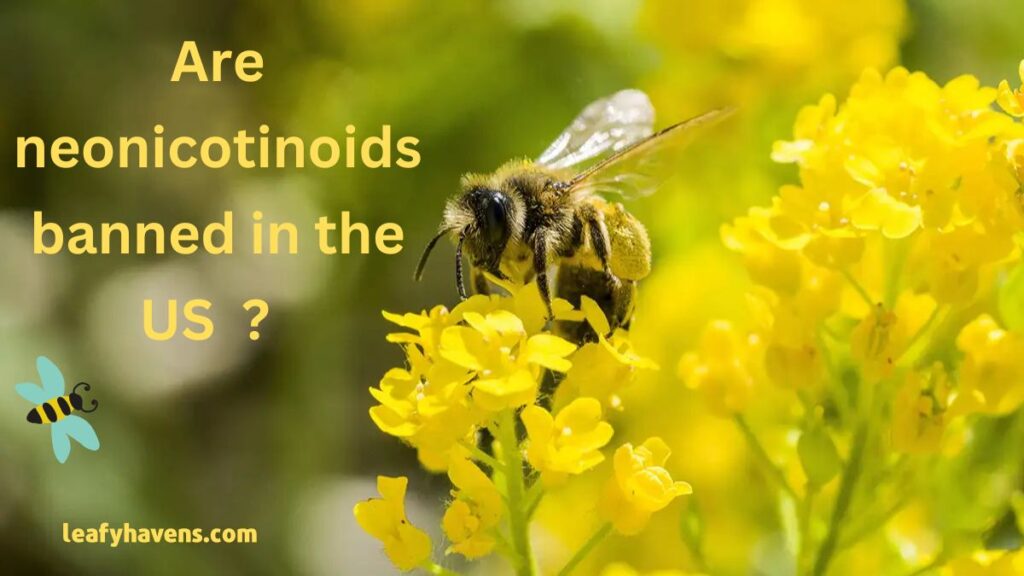 Are Neonicotinoids Banned in the US?