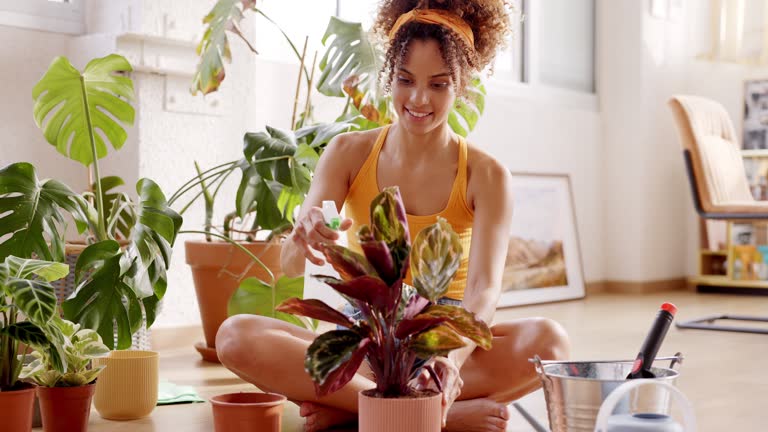 how long can a potted plant live    