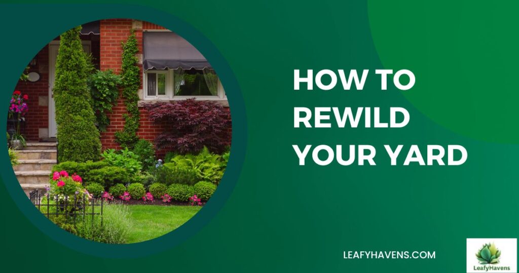 how to rewild your yard